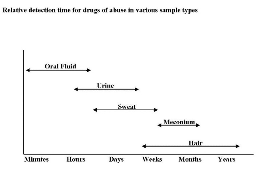 Relative detection time for drugs of abuse in various sample types. 